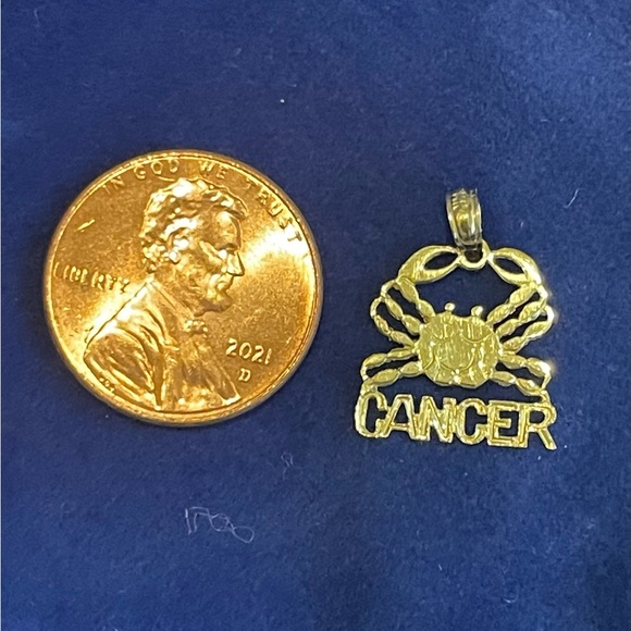 10k Yellow Gold Small Zodiac Signs astrological symbol Necklace Charm Pendant - Picture 16 of 16